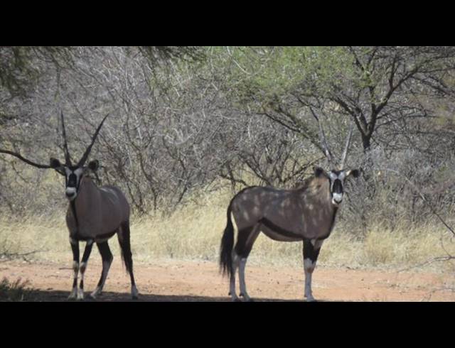FARM FOR SALE IN BALTIMORE